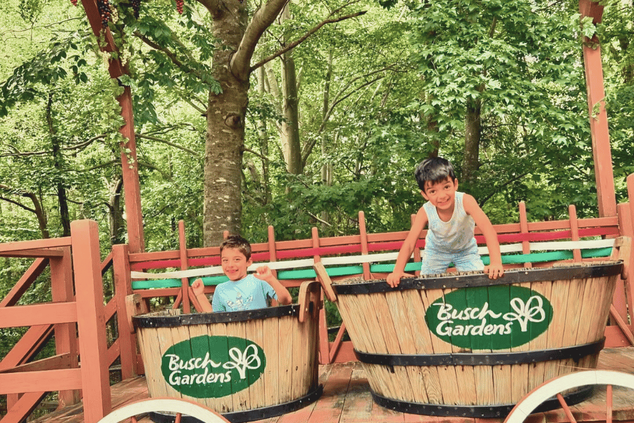 Honest Review of Busch Gardens & Water Country USA